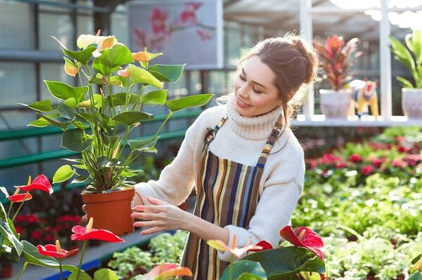 Khu vườn mùa xuân rạng rỡ với cây xanh tươi mới và không khí trong lành
