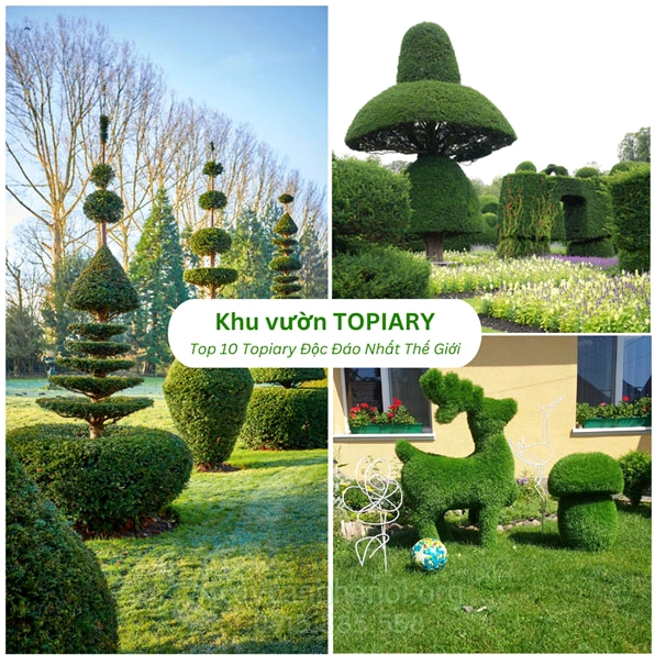 Khu vườn Topiary được cắt tỉa nghệ thuật, tạo cảm hứng bố cục cho ảnh cây cảnh nhỏ
