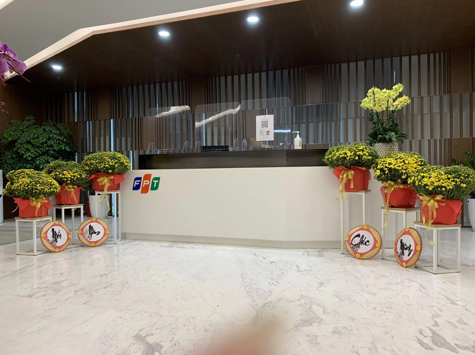 Khung cảnh cây xanh trang trí tạo cảm hứng chọn vị trí đặt Cây Kim Phát Tài trong phòng khách