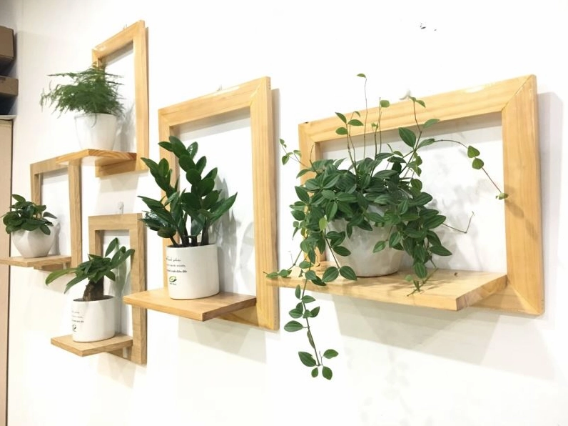 Khung cảnh trưng bày cây xanh trong nhà mang tinh thần tươi mát phù hợp để tham khảo đặt Cây Kim Phát Tài