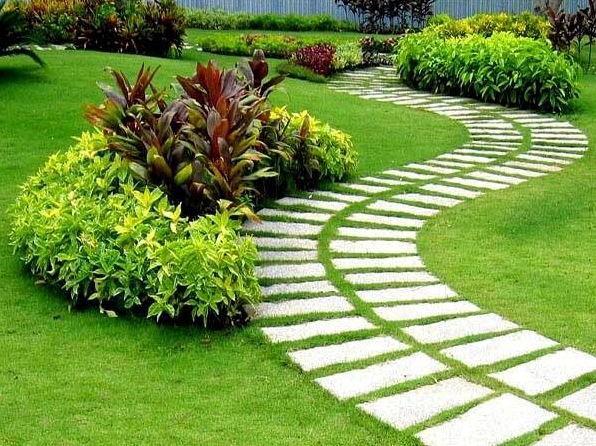 Lối đi bê tông uốn lượn mềm mại giữa các mảng cỏ xanh trong sân vườn