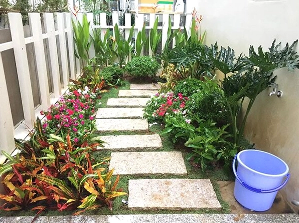 Lối đi bên hông nhà được bố trí gọn gàng như một hành lang xanh yên tĩnh