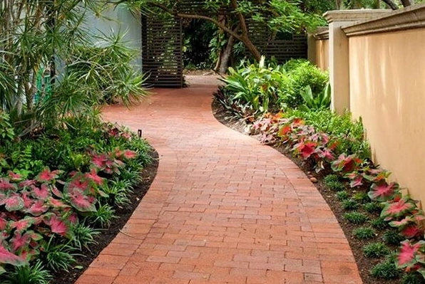 Lối đi sân vườn lát gạch đơn giản với nhịp điệu đều đặn và nền cây xanh dịu mắt