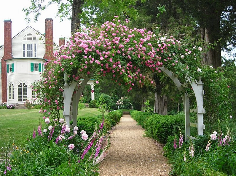 Mẫu giàn hoa sân vườn đẹp với khung pergola thanh thoát giữa không gian xanh