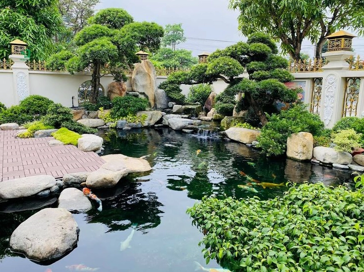Mẫu hồ cá Koi được ưa chuộng với dáng hồ gần gũi và cảnh quan xanh mát