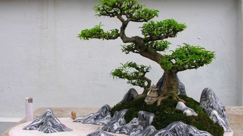 Mẫu hòn non bộ trong nhà tiểu cảnh mini nhỏ gọn phù hợp bàn trà hoặc góc thư giãn