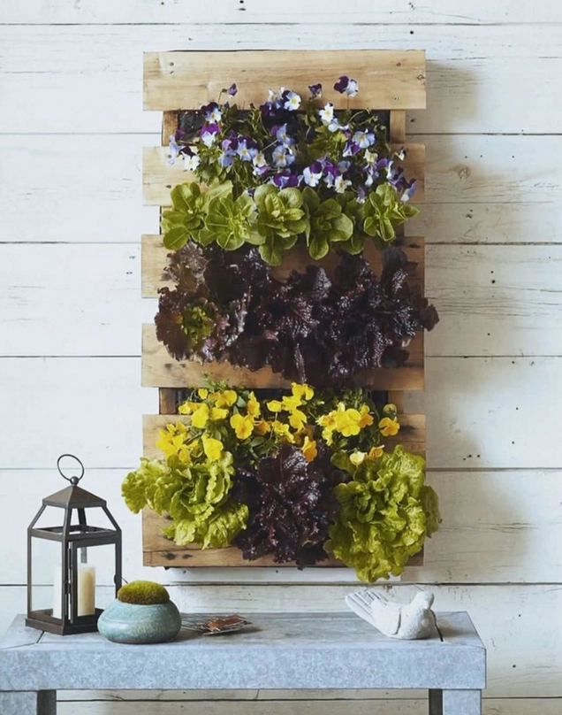 Mẫu pallet trong vườn giúp tối ưu diện tích và làm nổi bật chậu cây xanh