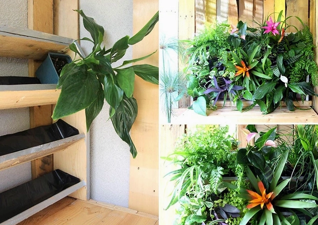 Mẫu trang trí sân vườn bằng pallet gỗ tạo bố cục gọn gàng cho cây cảnh