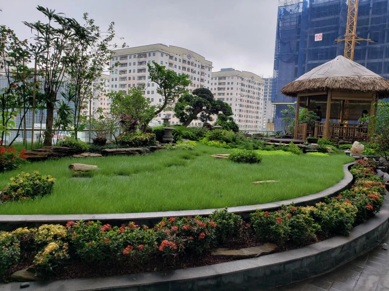 Mẫu vườn trên sân thượng kết hợp chòi nghỉ và hồ cá koi giữa không gian xanh