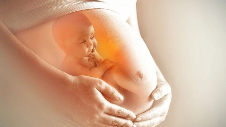 Minh họa lưu ý phụ nữ có thai không nên sử dụng Hoa hòe với tông màu nhẹ và rõ thông điệp