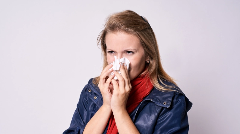 Một hình ảnh khác của Cây Bách Xù cho thấy vẻ đẹp xanh bền, khỏe khoắn và giàu tiềm năng trang trí