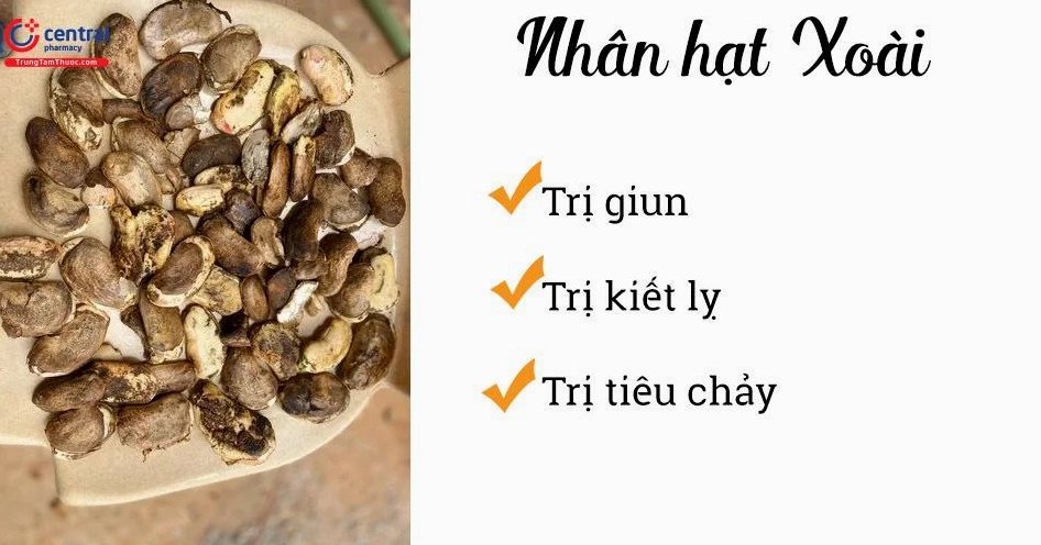 Nhân hạt Xoài được chụp rõ nét như một phần ít được chú ý của quả