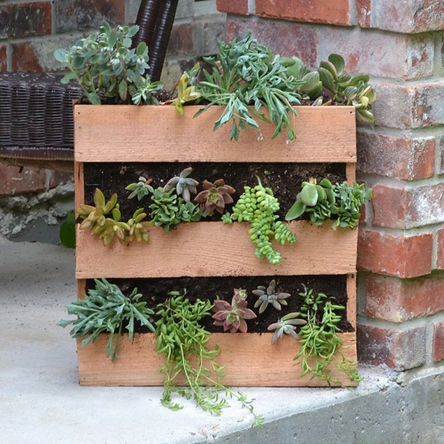 Pallet gỗ được biến tấu thành chi tiết trang trí sân vườn giản dị bên cây cảnh