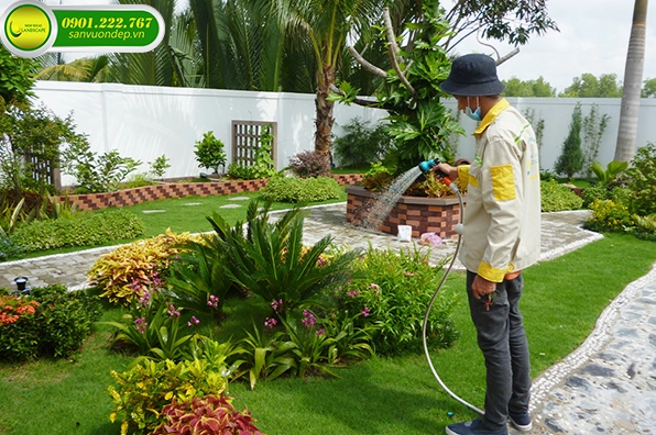 Phong cảnh nhà vườn đẹp với cây xanh rộng mở và không gian sống gần gũi thiên nhiên