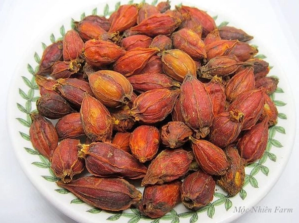Quả Dành Dành được gợi nhắc như nguồn màu thực phẩm tự nhiên với sắc thái mộc mạc
