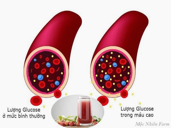 Quả sơ ri tươi gắn với lợi ích hỗ trợ chế độ ăn cân bằng và lành mạnh