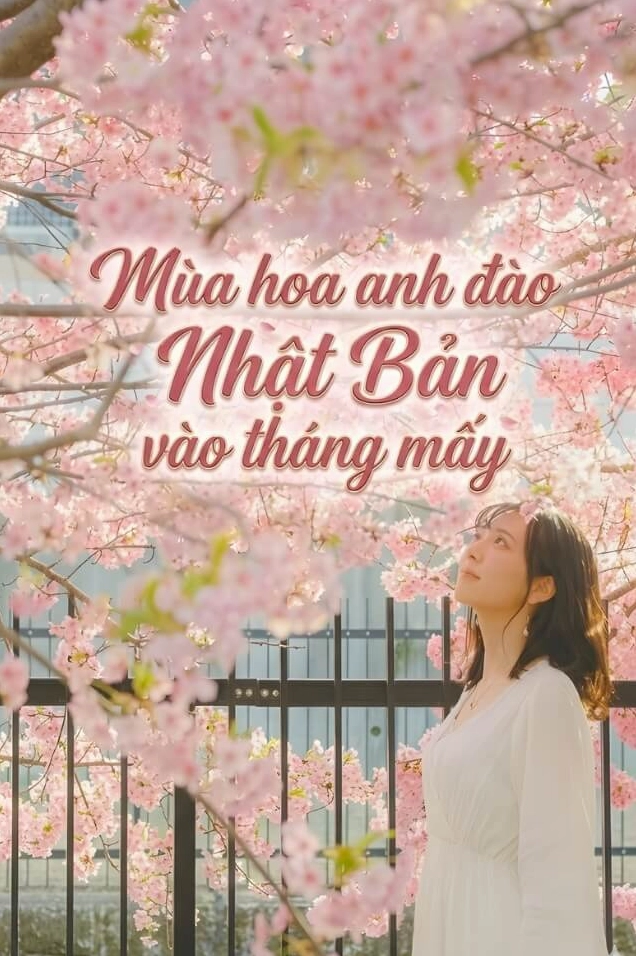 Sakura Nhật Bản vào mùa nở rộ gợi cảm hứng màu hồng nhẹ cho bộ ảnh hoa phong lan