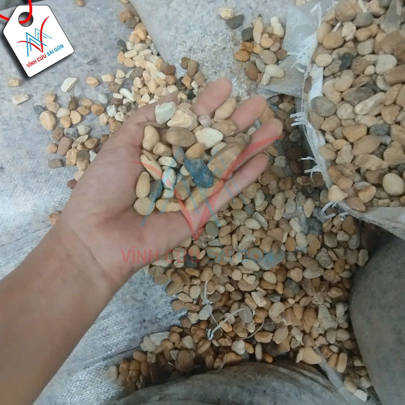 Sạn suối kích thước nhỏ phủ nền bồn cây giúp giữ ẩm và tạo vẻ tự nhiên cho sân vườn