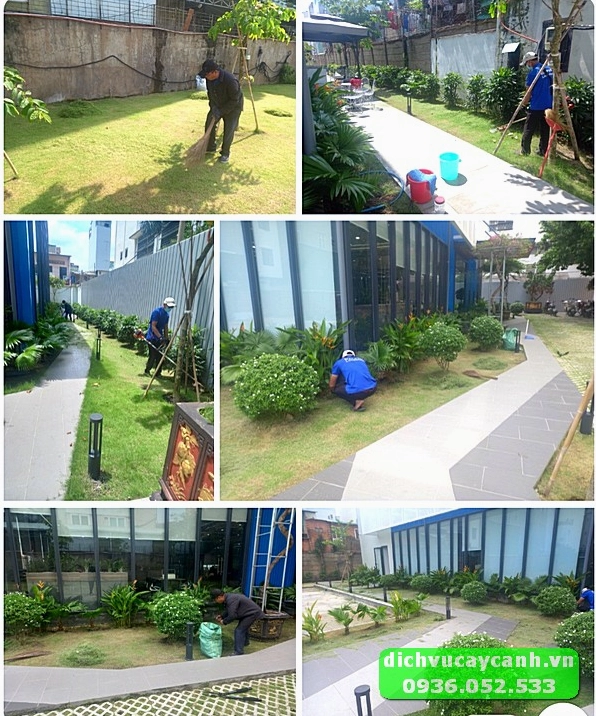 Sân vườn được chăm sóc chuyên nghiệp với thảm cỏ xanh sạch và cây cảnh hài hòa