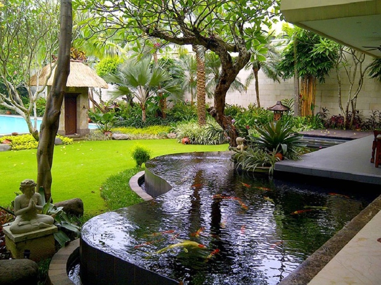 Sân vườn nhỏ có hồ cá Koi trong veo giữa cây xanh và đá trang trí