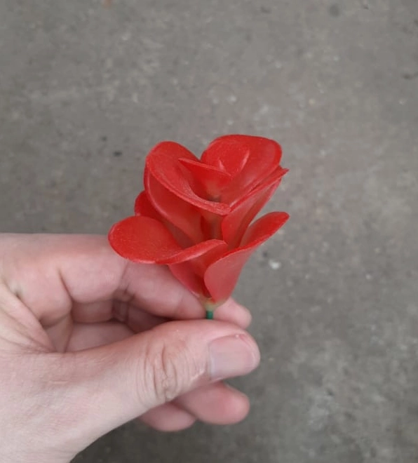 Sen đá Giva đỏ nhựa với sắc đỏ hồng đậm tạo cảm giác ấm áp và nổi bật