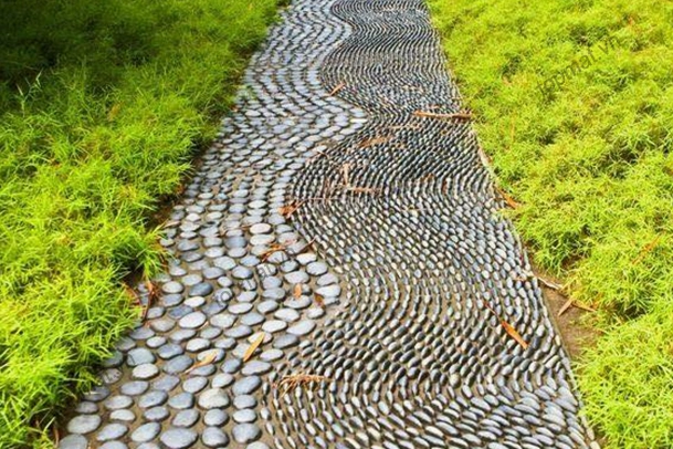 Sỏi rải sân vườn phủ kín nền đất giúp lối đi sạch và giàu thẩm mỹ
