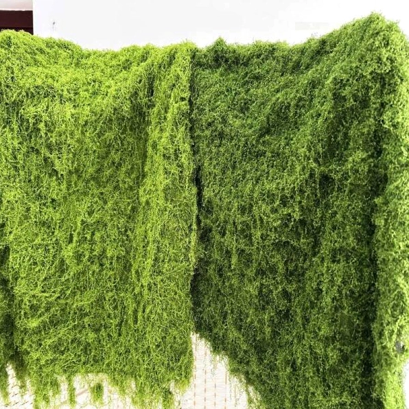 Sợi rêu rối trang trí tiểu cảnh màu xanh dùng tạo lớp phủ tự nhiên