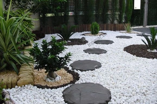 Sỏi sân vườn đẹp tạo bề mặt trang trí giàu kết cấu dưới ánh sáng tự nhiên