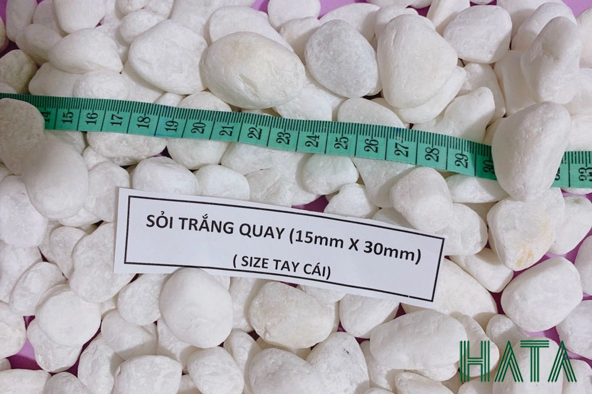 Sỏi trắng kích thước 15x30 làm sáng nền tiểu cảnh và lối đi sân vườn