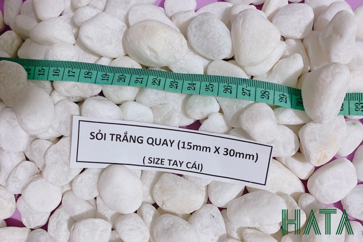 Sỏi trắng trang trí cảnh quan tạo nền sáng tinh khôi cho bồn cây và lối dạo