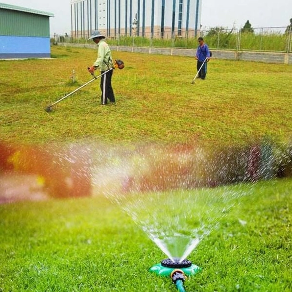 Thảm cỏ sân vườn được chăm sóc đều màu với bề mặt gọn gàng và sạch thoáng