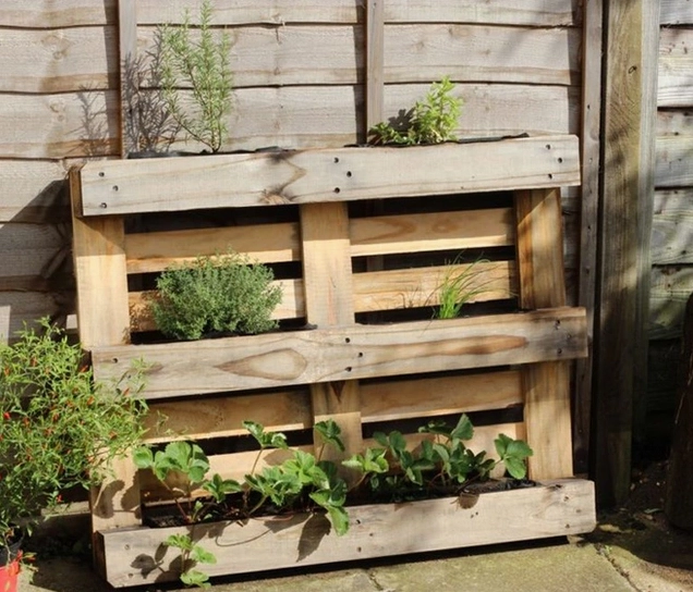Thanh gỗ pallet được sắp xếp thành chi tiết vườn đẹp phù hợp không gian ngoài trời