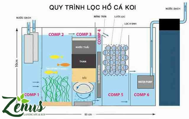 Thi công hệ lọc hồ cá Koi đạt chuẩn với các khoang xử lý nước rõ ràng