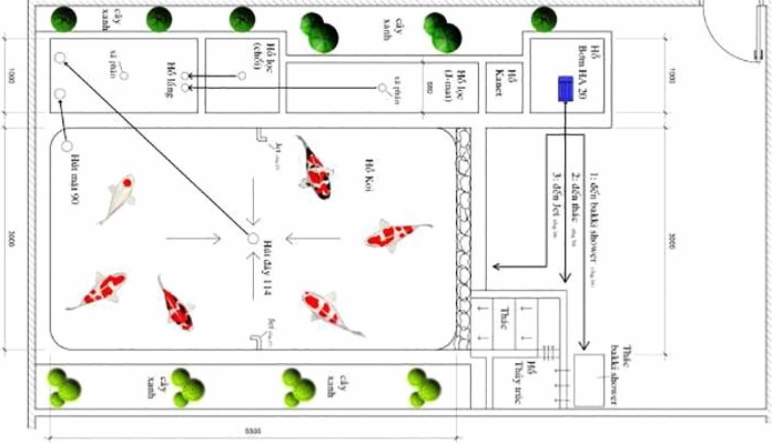 Thiết kế hồ cá Koi đúng phong thủy với dáng hồ mềm mại và không gian nước cân bằng sinh khí