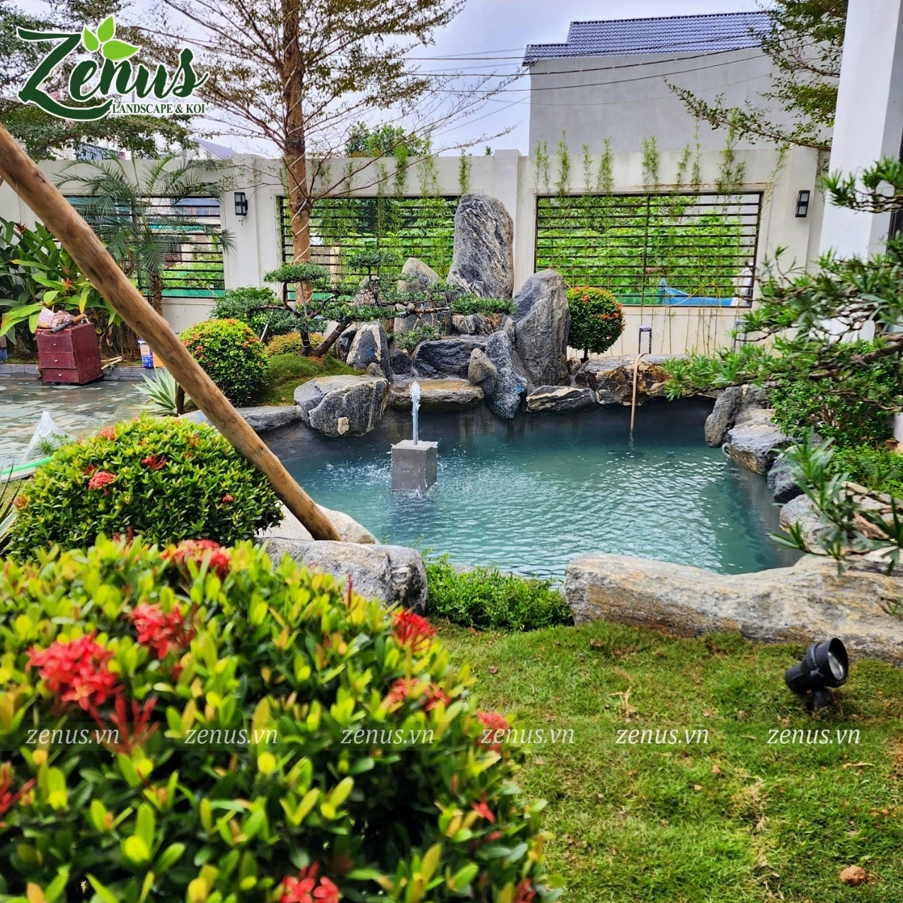 Thiết kế hồ cá Koi phong thủy trong khu vườn xanh với bố cục mềm mại