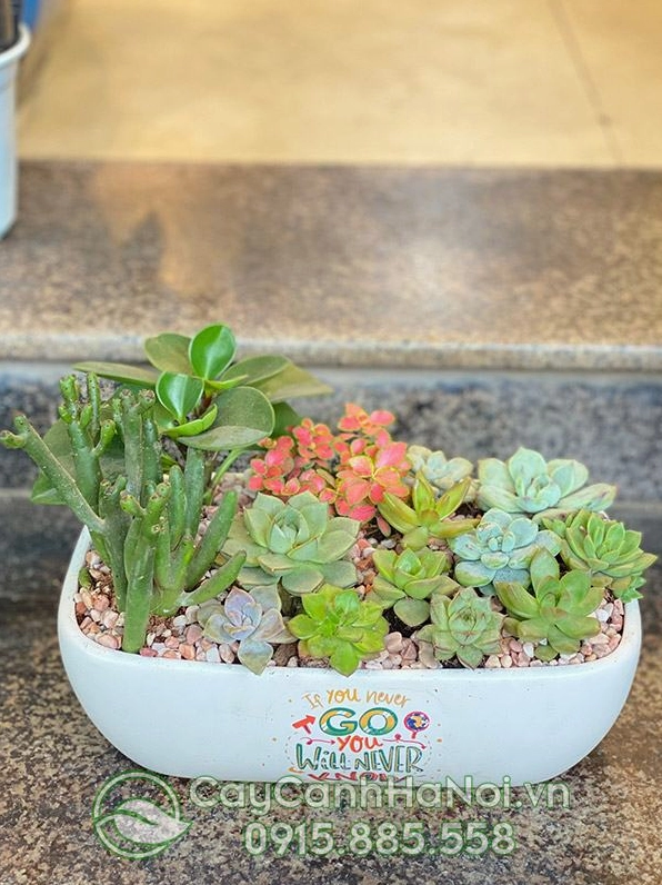 Thiết kế tiểu cảnh để bàn với bố cục gọn gàng, cây xanh và phụ kiện trang trí tinh tế