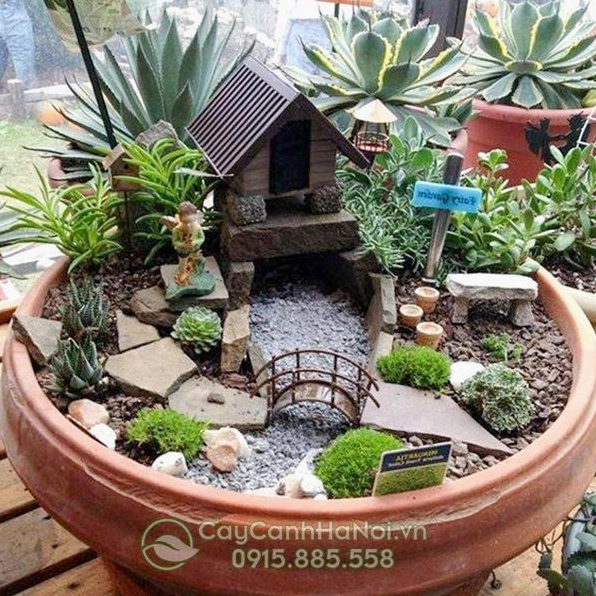 Tiểu cảnh mini sân vườn để bàn với mảng cây nhỏ, đá và đường nét cảnh quan hài hòa