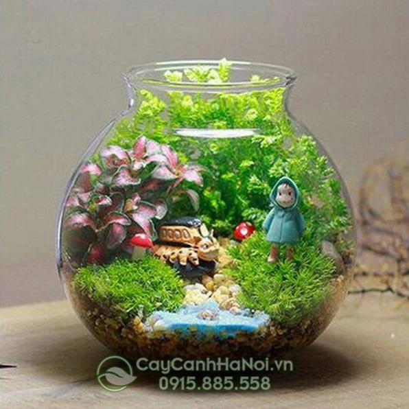 Tiểu cảnh mini trong nhà với cây xanh nhỏ tạo điểm nhấn dịu dàng cho nội thất