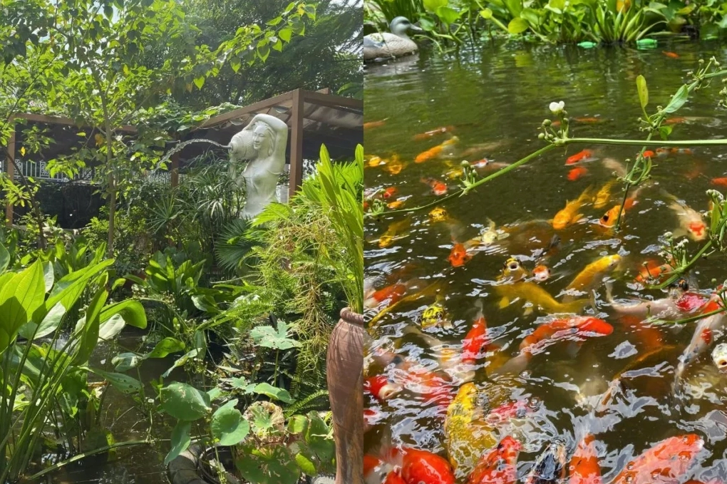 Tiểu cảnh sân vườn mini với tượng nữ phun nước cây cỏ xanh và hồ cá koi trong làn nước trong