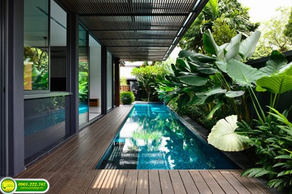 Tiểu cảnh sân vườn nhà ống với cây xanh tạo điểm nhấn mềm mại trong không gian hẹp