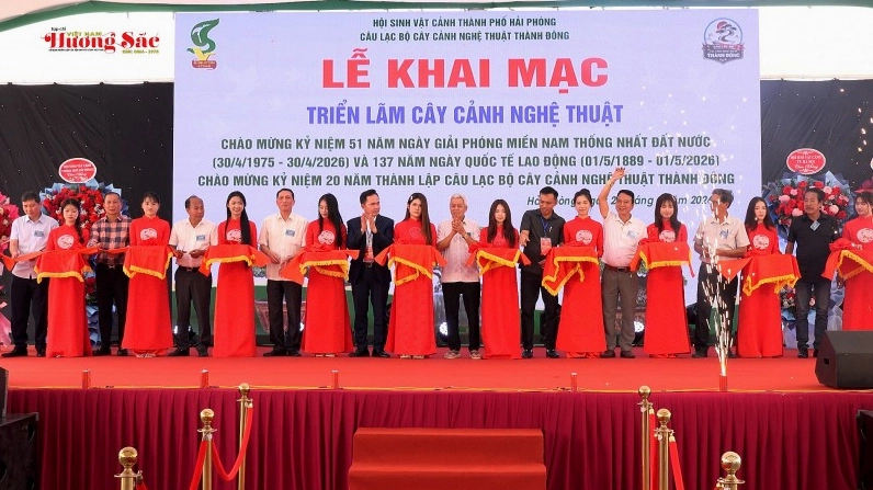 Toàn cảnh triển lãm cây cảnh nghệ thuật với nhiều chậu cây đẹp được sắp đặt quy mô