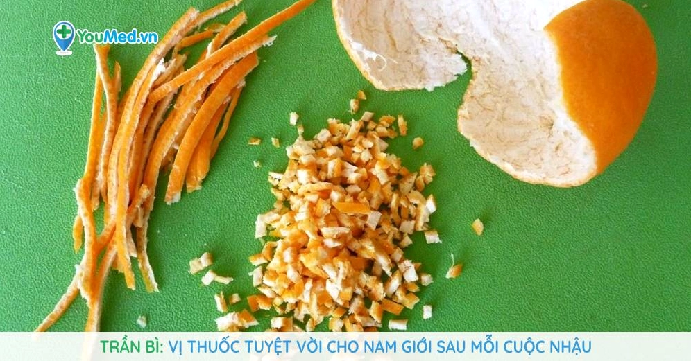Trần bì trong ảnh dược liệu có tông màu ấm và không liên quan đến Cây Lộc Nhung cảnh