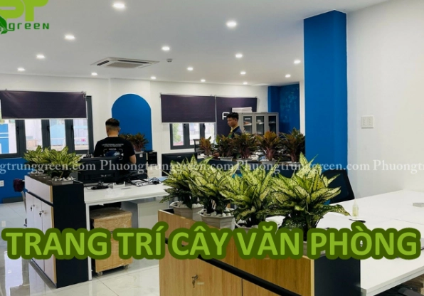 Trang trí cây xanh trong văn phòng mang lại cảm hứng thiết kế mảng xanh cho sân vườn nhỏ