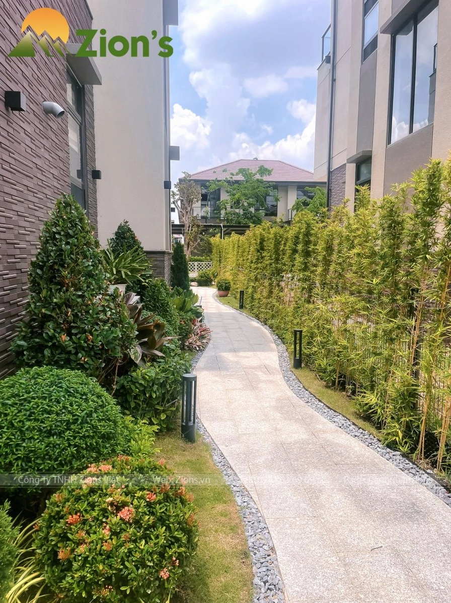 Vườn bên hông nhà được thiết kế sinh động với mảng cây xanh và lối di chuyển thoáng