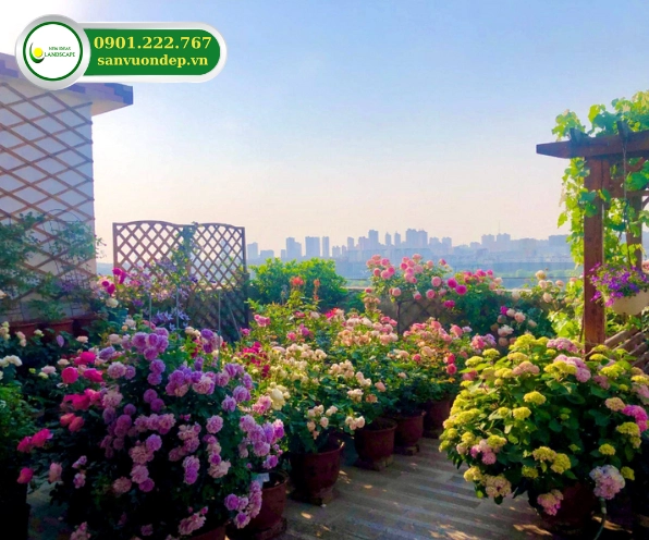 Vườn hoa mini đẹp mắt với những mảng hoa nhỏ làm sáng bừng góc sân