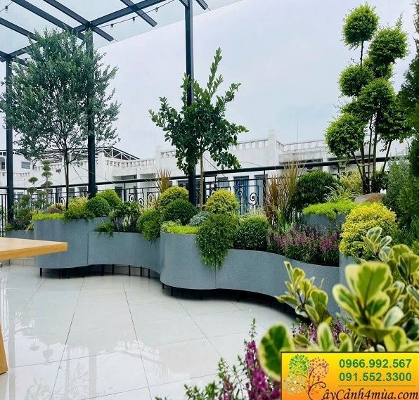 Vườn sân thượng phong cách châu Âu với các mảng trồng nền gợi ý vị trí đẹp cho Hoa Thanh Anh