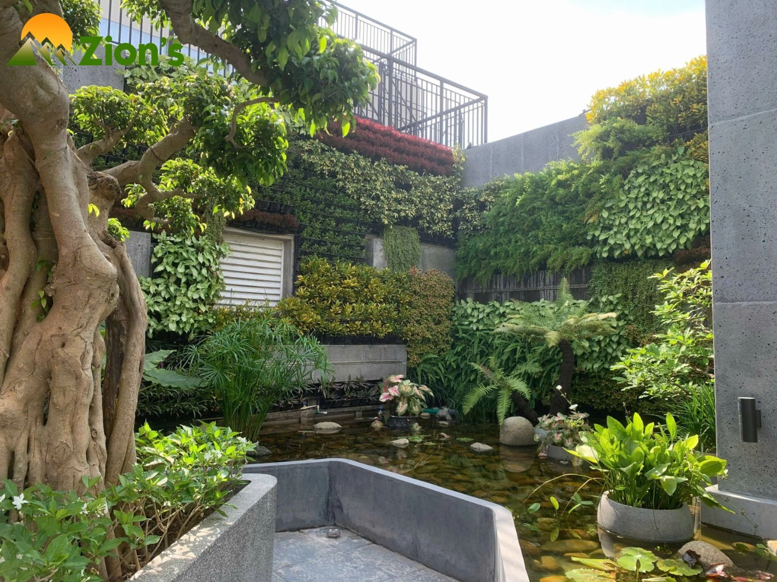 Vườn sân thượng tại Mỹ Đình với không gian xanh trên cao dành cho thư giãn
