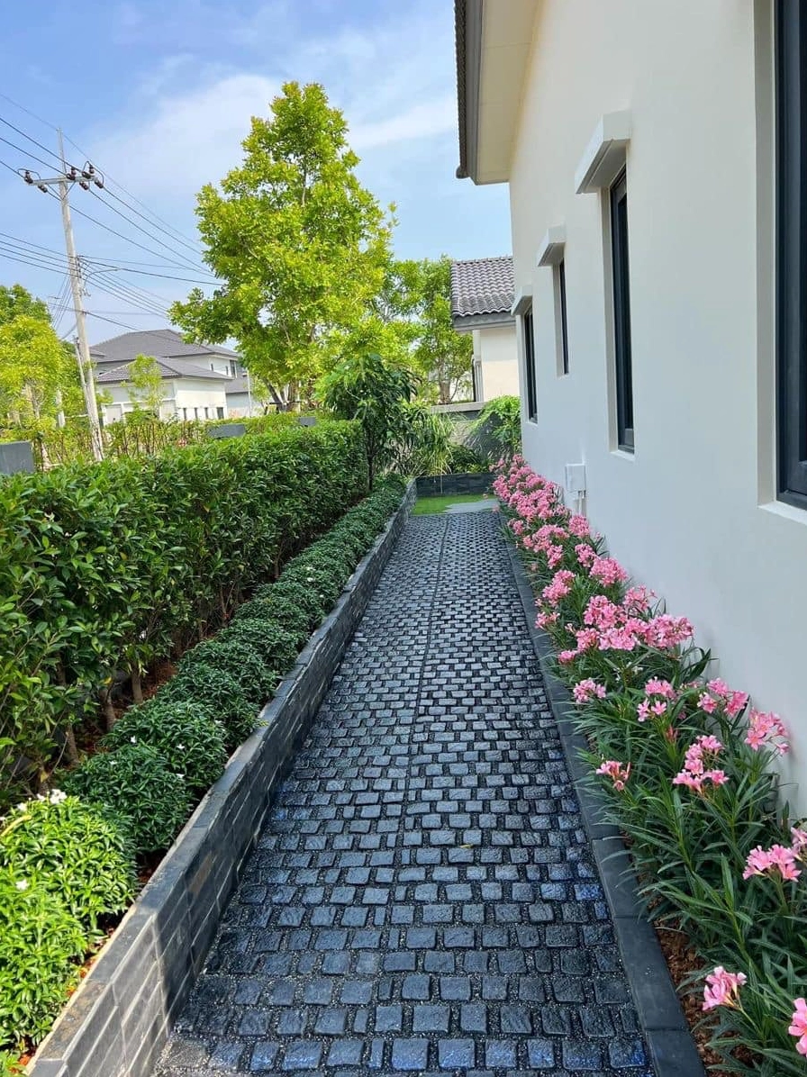 Ý tưởng vườn bên hông nhà tạo cảm giác yên bình bằng cây cảnh và đường dạo nhỏ