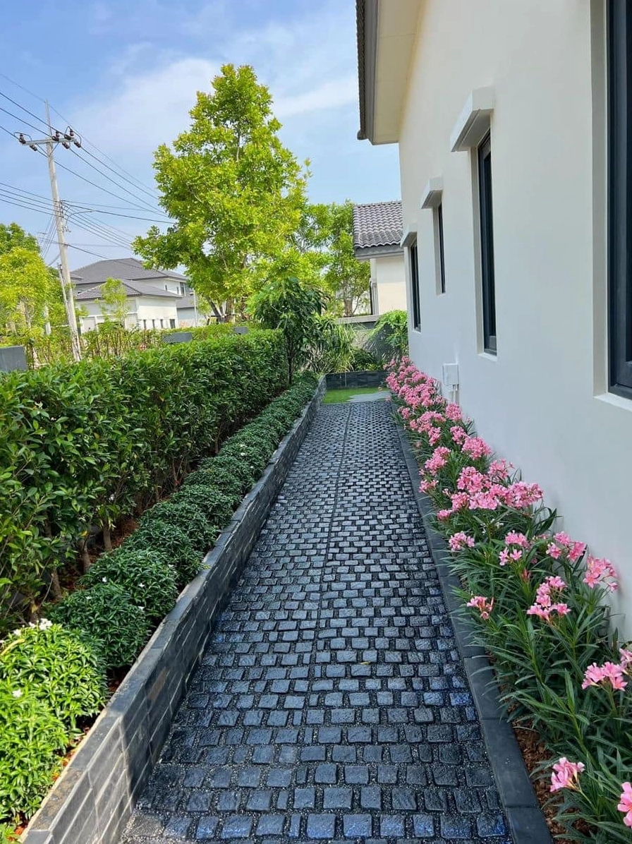 Ý tưởng vườn bên hông nhà với cây xanh trải dài tạo hành lang thiên nhiên mềm mại