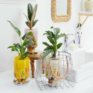 Tuyển chọn chậu hoa đẹp với thiết kế cuốn hút và tinh tế